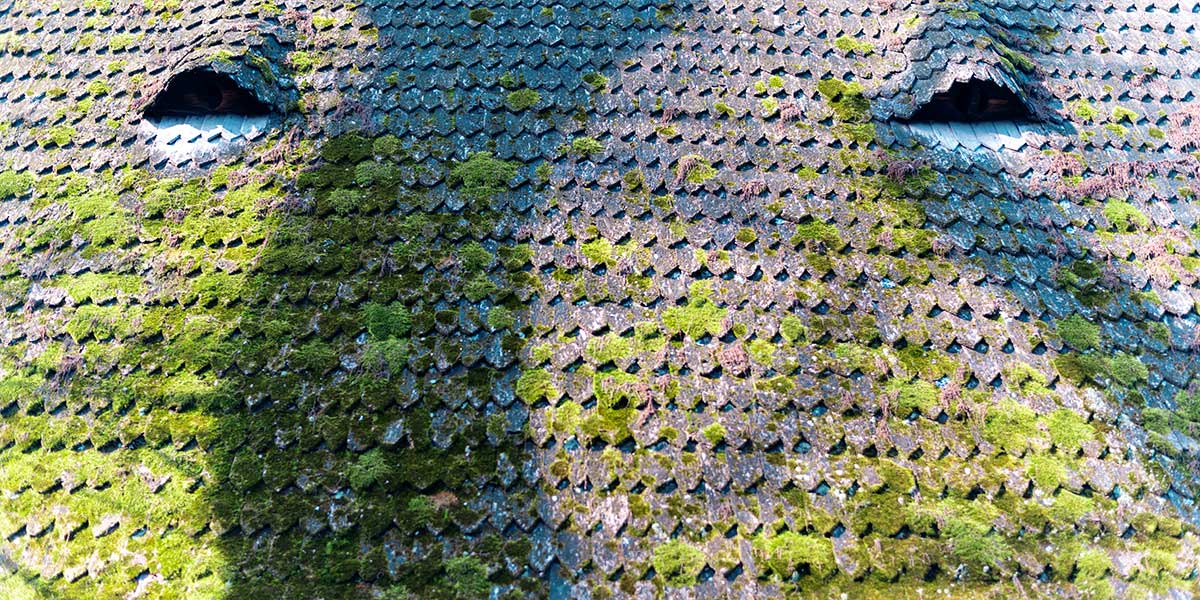 how to clean moss off roof